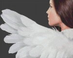 (image for) Angel's Sigh